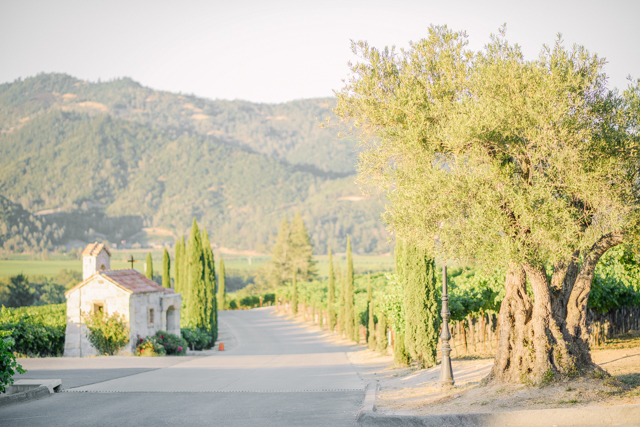 napa-valley-engagement-shoot-1