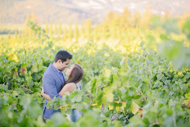 napa-valley-engagement-shoot-17