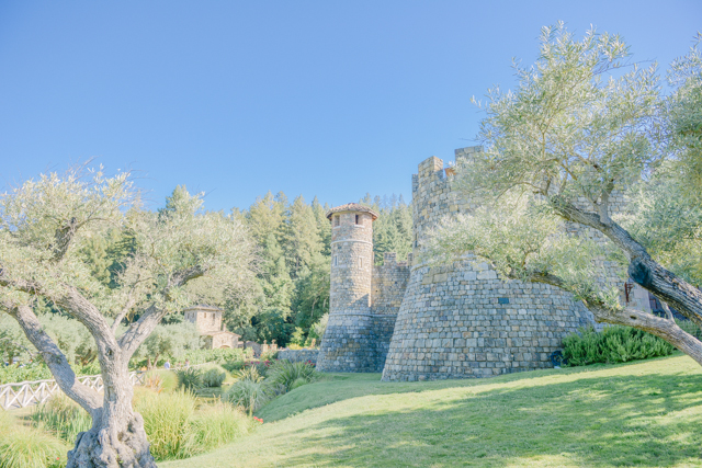 napa-valley-engagement-shoot-18