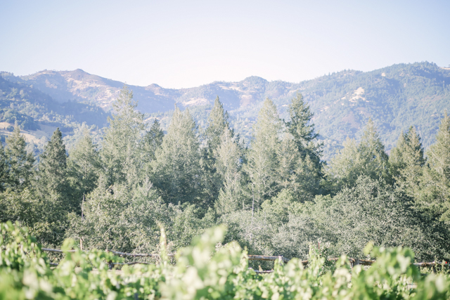 napa-valley-engagement-shoot-42