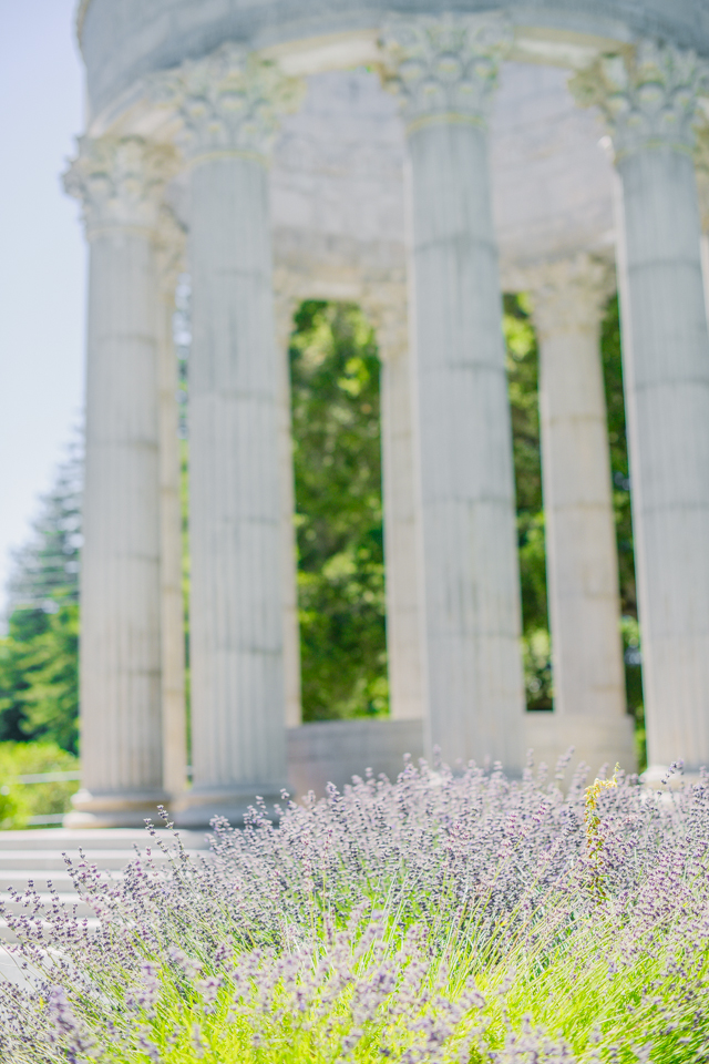 oakland-california-wedding-photographer-53