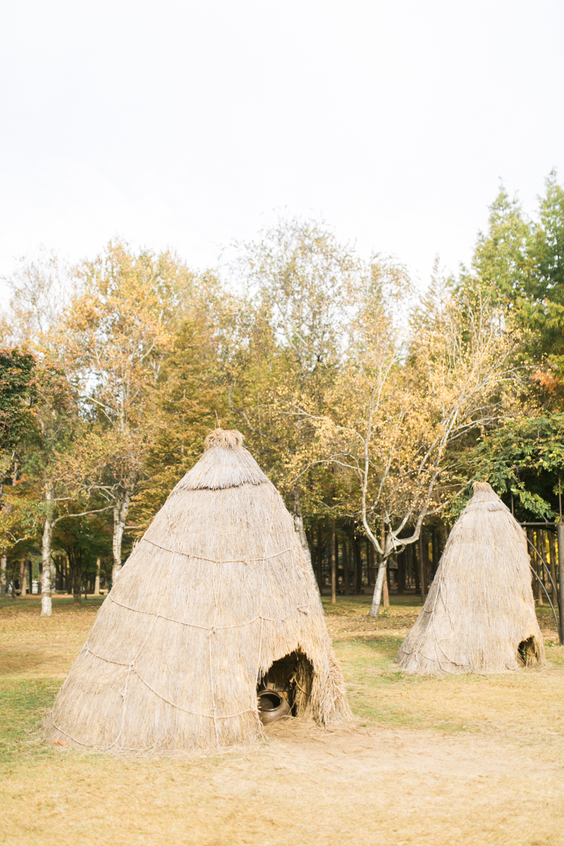 Seoul Korea Engagement (Prenup) - Tracy & JP | Foreveryday Photo