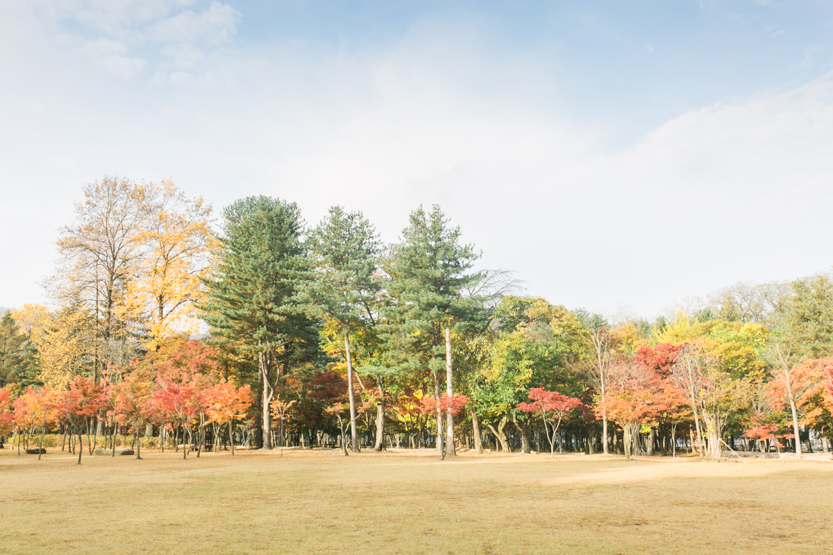 Seoul Korea Engagement (Prenup) - Tracy & JP | Foreveryday Photo