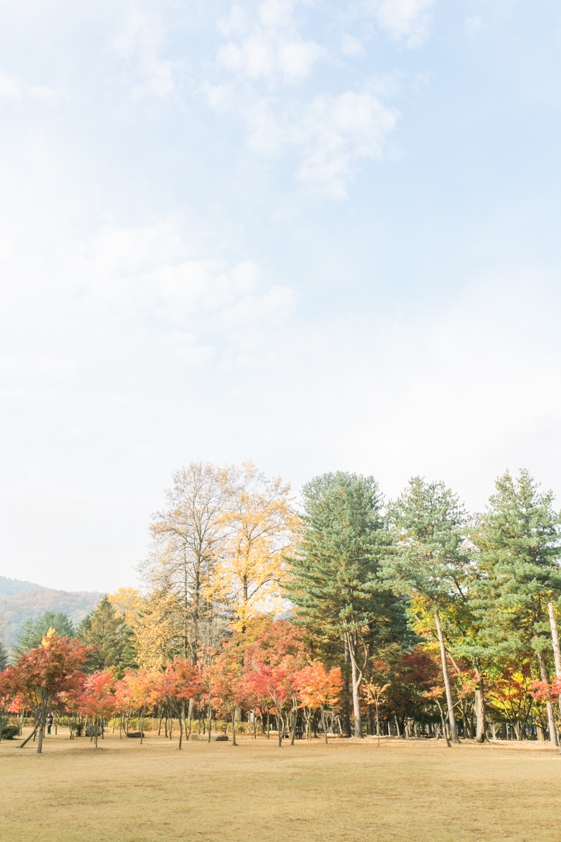 Seoul Korea Engagement (Prenup) - Tracy & JP | Foreveryday Photo