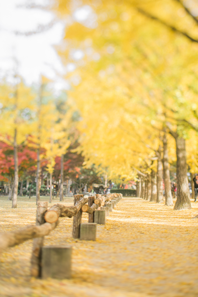 Seoul Korea Engagement (Prenup) - Tracy & JP | Foreveryday Photo