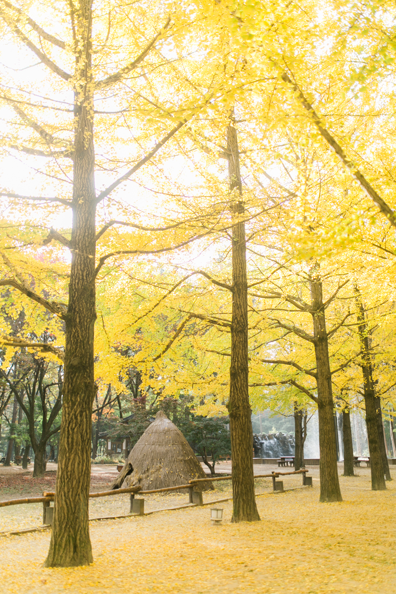 Seoul Korea Engagement (Prenup) - Tracy & JP | Foreveryday Photo