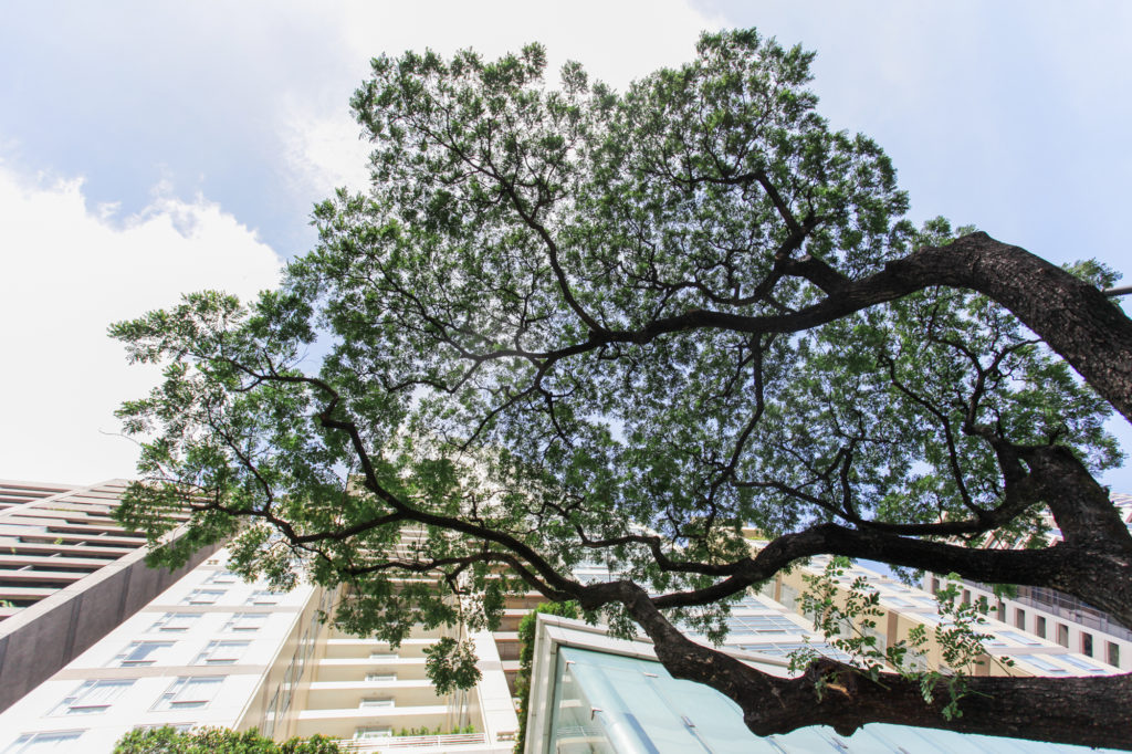 JP & Tracy - A Touching Makati Wedding | Foreveryday Photography