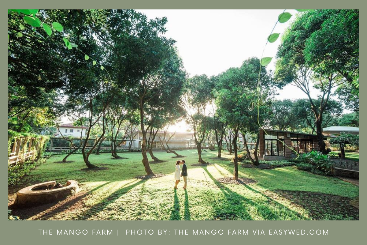 the-mango-farm-prenup-location